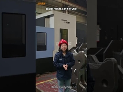 Scavatori idraulici Tesoie da demolizione pesanti