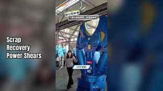 Cesoie per escavatori Teyun Produttività massima Recupero scarti